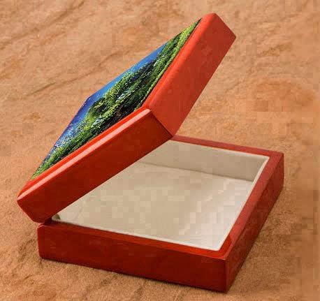 エンゼルフィッシュが泳ぐ水草水槽の写真タイル付き小物入れ（Jewelry Box）（世界の熱帯魚シリーズ）