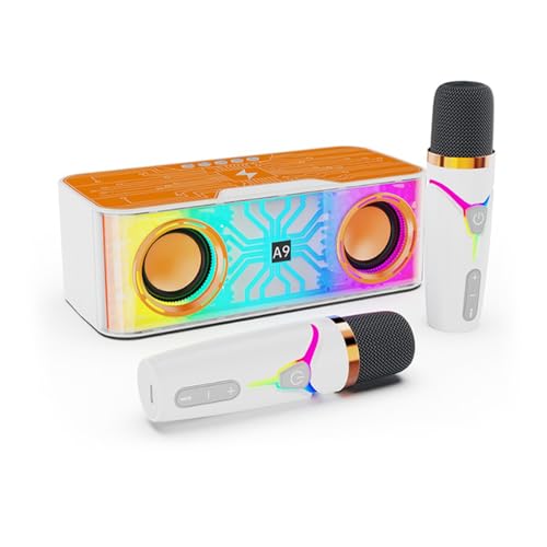 Haut-parleur portable BT sans fil pour réussir vos soirées karaoké