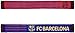 Icon Sports Officially Licensed FC Barcelona Soccer Supporter Scarf – Classic Blaugrana Knit Fan Scarf with FCB Crest & “1899” Design - Home