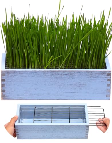 BENPIN Maceta de madera para gatos (no incluye semillas) con discos de tierra para macetas, rejilla antiexcavación y forro de plástico extraíble, maceta de cultivo de hierba de trigo, kit de hierba