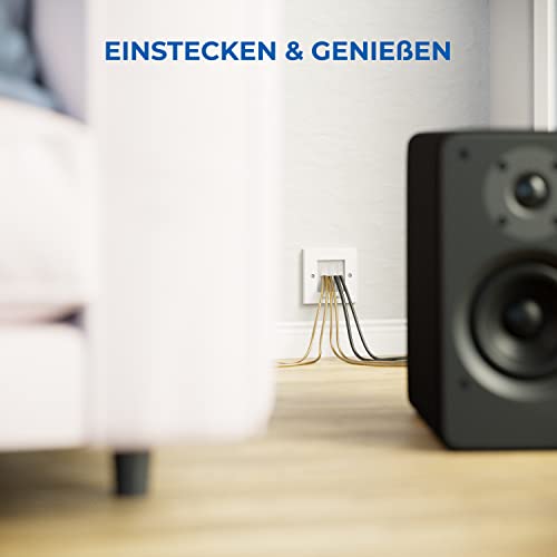 deleyCON 2x Multimedia Wanddose Anschlussdose Kabeldurchführung Kabel Blende Abdeckung Unterputzdose Kabeldurchlass Wandplatte mit Brush-Borsten für Multimedia Kabel