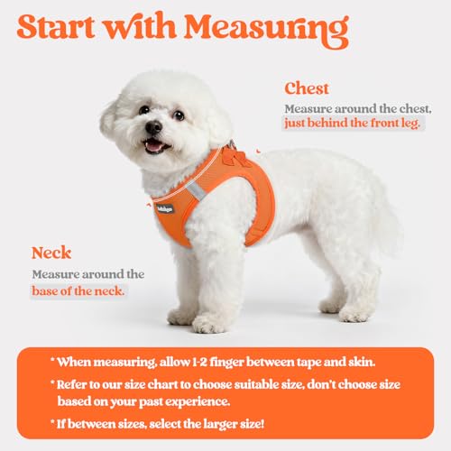 Image of rabbitgoo Dog Harness Medium Sized and Leash Set, Step-in Puppy Pet Vest