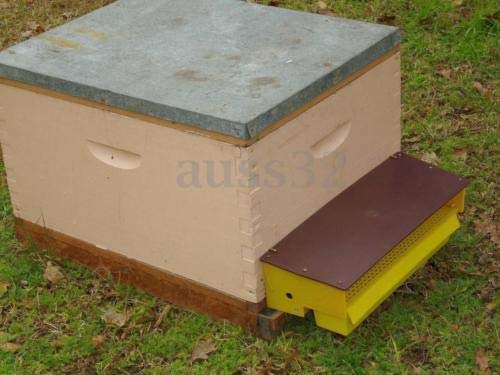 Piège à pollen avec plateau ventilé amovible pour apiculture