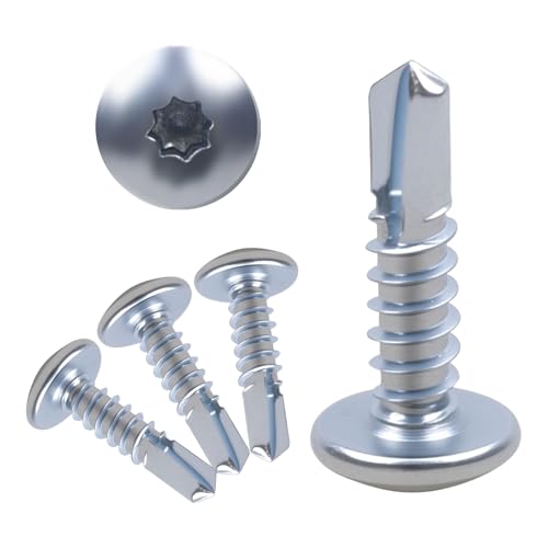 Vis autotaraudeuses 1,9 cm revêtement zinc blanc tête bombée pour plaque et remorque