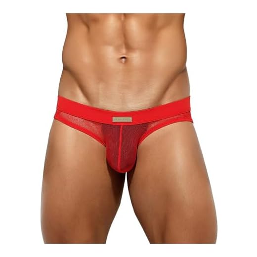 Arjen Kroos Men's Sexy Briefs Breathable Comfortable Mesh Underwear