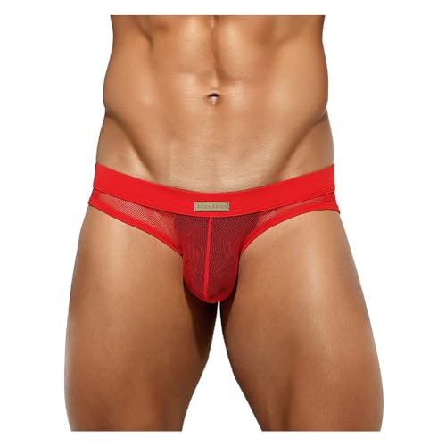 Arjen Kroos Men's Sexy Briefs Breathable Comfortable Mesh Underwear