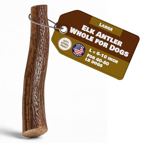 Large Whole Elk Antlers for Dogs | 100% Natural &