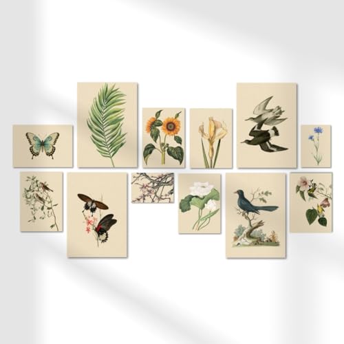 Image of Funk You Store Vintage Botanical Prints Wall Art (Set of 12) - Botanical Plant Poster, Butterfly Pictures Bird Art Sunflower Fern Prints, Flower Painting Home Bedroom Decorations (D 024)