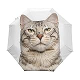 My Daily Snow Bengal Parapluie de voyage pour chat Ouverture et fermeture automatique Léger et compact Coupe-vent