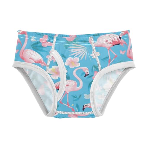 Wusikd Pink Flamingos Boys' Underwear Cotton Butterflies Flowers Boys Briefs Soft Toddler Underwear 2T