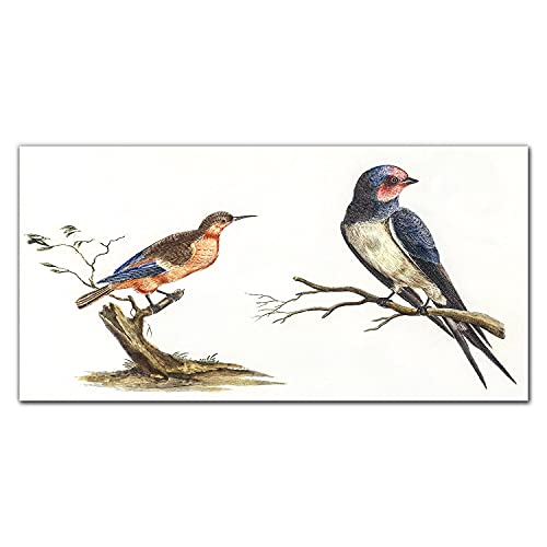 Impression sur verre 100x50 cm déco salon nature oiseaux exotiques