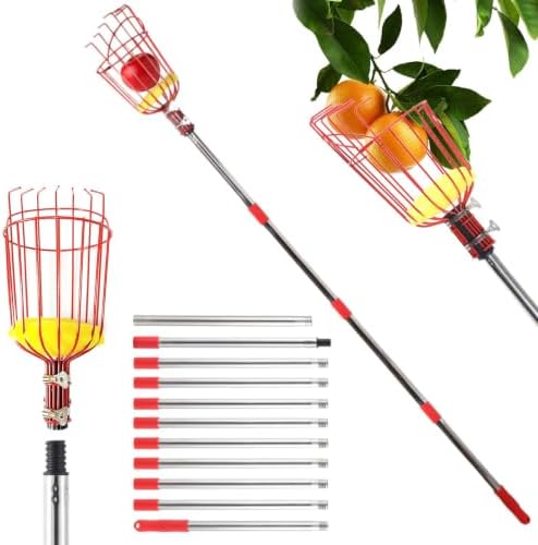 Edencomer Apfelpflücker mit Teleskopstiel 2.6M, Obstpflücker mit Metallkorb und Schaumstoffpad, Pflaumenpflücker, Fruit Picker, Obstgreifer