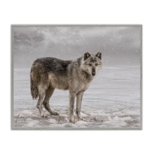 'Lone Coyote Wolf Snowy Field Landscape'| Framed Giclee Art
