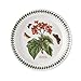 Amazon.com | Spode Botanic Garden 8.5
