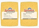 Spontex Schwamm (Packung mit 2)
