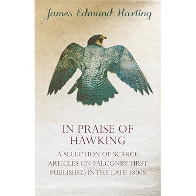 In Praise of Hawking