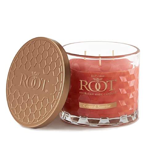 Root Candles Long Lasting Beeswax Blend Scented Candle Made In The Usa, 12-Ounce 3-Wick, Coastal Sunrise #TOP8