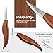 Olerqzer Wood Carving Knife With Leather Strop and Polishing Compound, Wood Whittling Tools for Beginners, Adults and Kids Whittling Tools (Sloyd Carving Knife)