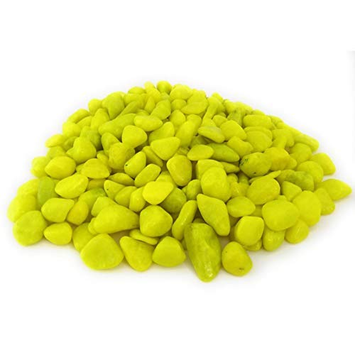 Radha Creation Multicolor Pebbles Stones for Plants Pots, Aquarium/Fish Tank, Garden, Decoration, Table and Home Decor, Vase Fillers (500 Grm)_RCR_001-image-18