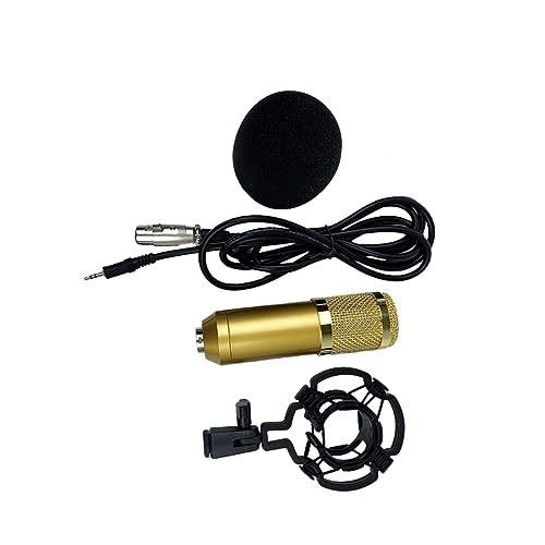 COOPHYA Micrófono de Condensador Bm-800 Malla Elástica Doble Capa para Grabación Vocal Conferencias y Karaoke Resistente a Caídas Conector XLR Estándar