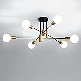 🎬【Forma Ajustable】: Esta lámpara de techo está equipada con 6 brazos y el ángulo entre cada brazo se puede girar horizontalmente 180 grados, por lo que puede ajustar la luz a su forma deseada.