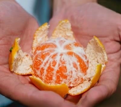 (天皇杯受賞産地)川上みかん5kg(訳あり)愛媛県八幡浜市(C70-37)