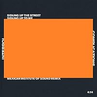 Mexican Institute of Sound Ablum Cover