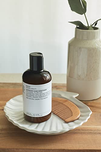 Evolve Organic Beauty - Superfood Shine Natural Conditioner | Small-Batch, Vegan Clean Beauty (8.5 Oz | 250 Ml) #TOP1