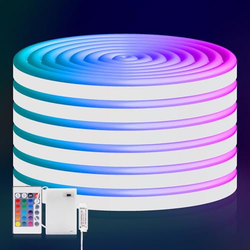 HEGEHE Striscia neon LED flessibili RGB impermeabili Dimmerabile 5V [1m] - Con controller a 24 tasti - Alimentazione a batteria,decorazioni per Natale feste compleanni matrimoni [Batterie non incluse]