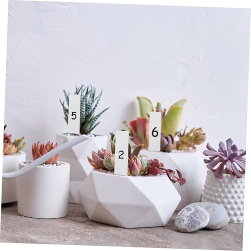 Outanaya Kit de 24 herramientas para plantas suculentas miniatura 7