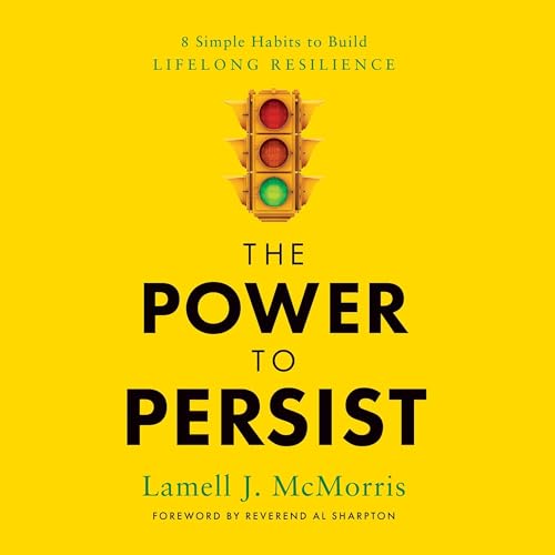 Page de couverture de The Power to Persist