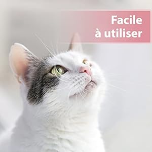 Eye Care 100 Pads for Cats  Against Dirt and Tear Stone  Pads for Cleaning and Care of the Eye Area  with Aloe Vera Extract  Cucciolini Doodles Eye care 100 pads for cats  against dirt and tear stone  pads for cleaning and care of the eye area  with aloe vera extract   cucciolini doodles