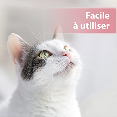 Eye Care 100 Pads for Cats  Against Dirt and Tear Stone  Pads for Cleaning and Care of the Eye Area  with Aloe Vera Extract  Cucciolini Doodles Eye care 100 pads for cats  against dirt and tear stone  pads for cleaning and care of the eye area  with aloe vera extract   cucciolini doodles