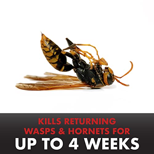 Spectracide 30110 Pro Wasp & Hornet Killer thumb #4