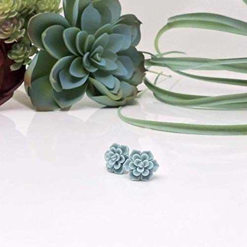 Pretty Smart Hypoallergenic Succulent Earrings On Plastic Posts 13Mm (Matte Aqua Blue) #TOP4