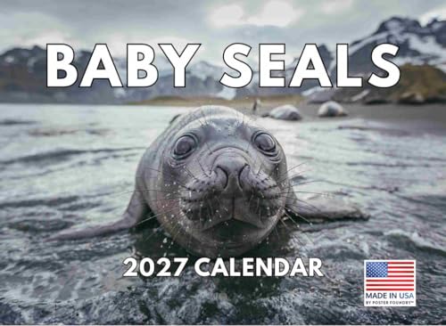 Baby Seal Calendar 2027 Cute Gifts For Seals Lovers Fluffy Harp Pups
