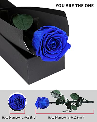 Image of Blue Flowers for Delivery Prime, Preserved Blue Roses Flower Gifts for Women, Real Roses Single Rose Gifts for Her, Mom Birthday Gifts from Daughter, Valentines Flowers