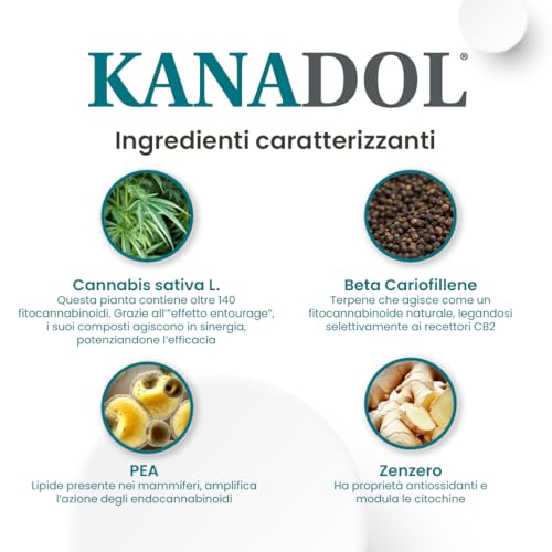 Aurora Biofarma Kanadol Paste 30 Gramm - Ergänzungsfuttermittel für die Normale Funktion des Nozizeptivsystems - Geeignet für Hunde und… – Ansicht 5
