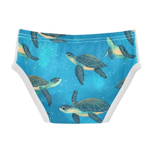 Wusikd Sea Turtles Boys' Underwear Cotton Galaxy Boys Briefs Soft Toddler Underwear 2T2
