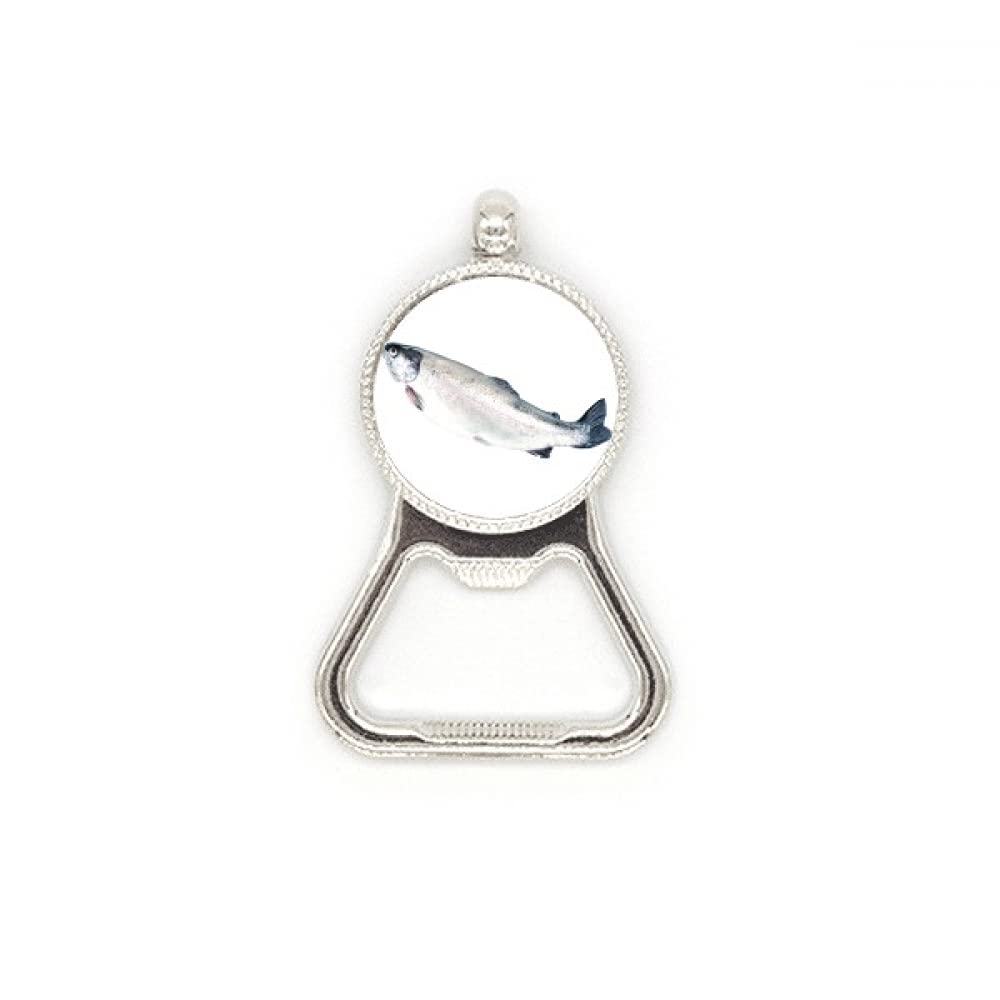 Décapsuleur en acier inoxydable Ocean Fish ouvre-bouteille bière accessoire cuisine