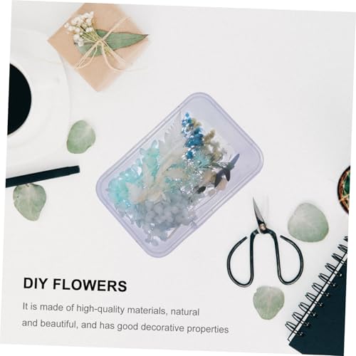 Kit de flores secas para manualidades DIY DECHOUS miniatura 5