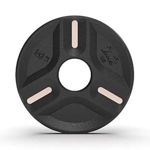 Cast Iron Plate Weights by Tribe WOD- Gym Weights for Men and Women, Cast Iron Plate Weights 1 of 2, Rubber and Steel Weights for Lifting (1 Plate)