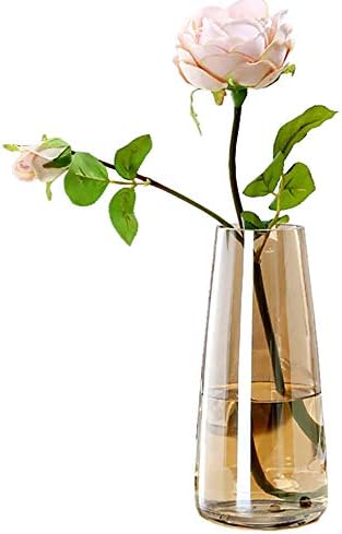 FANTESTICRYAN Modern Glass Vase Irised Crystal Clear Glass Vase f...