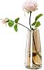 Jarrón de vidrio moderno FANTESTICRYAN, 8.7''H jarrones de flores decorativos, ámbar cristal | jarrones de cristal de colores para flores frescas o artificiales, para centro de mesa de oficina en hogar, decoración, regalo de inauguración o boda para seres queridos 2