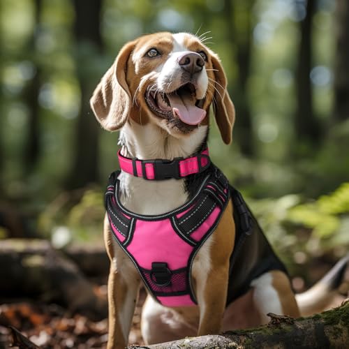 Image of Joytale Reflective Dog Collar, Soft Neoprene Padded, Metal D-Ring, Nylon Pet Collar Adjustable for Large Dogs, Hotpink, L