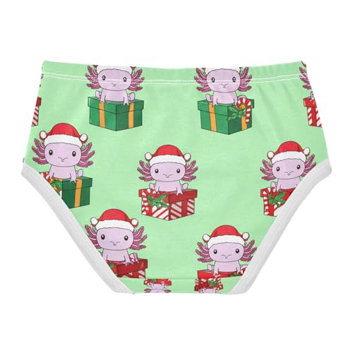 Cute Axolotls Christmas Santa Hats Toddler Girls's Underwear 2T 202c12722