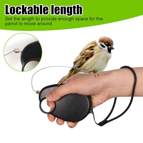 Vogelleine, Einziehbares Flugtrainingsseil für Papageien, Bissfestes Papageien-Trainingsseil für Sittiche, Nymphensittiche, Unzertrennliche, Finken