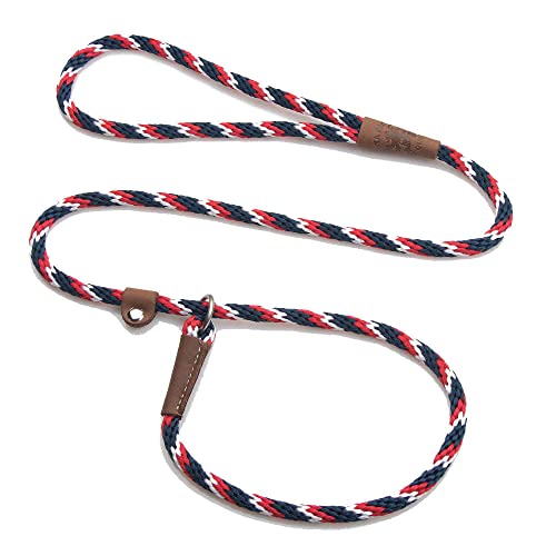 Mendota Pet Slip Leash - Dog Lead and Collar Combo - Made in The USA - Pride, 3/8 in x 6 ft - for Small/Medium Breeds