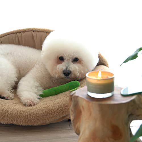 Candela regalo per donne, candele profumate infuse...