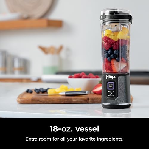 Mini Blender For Protein Shakes